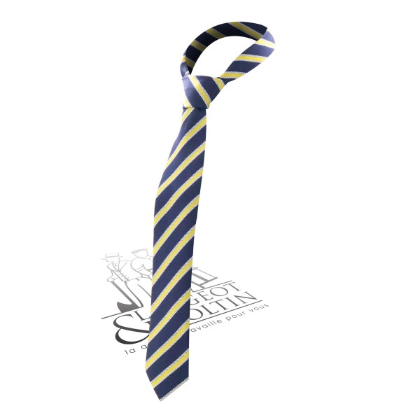 Cravate club à rayures