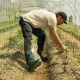 Pantalon de travail Florian FHB