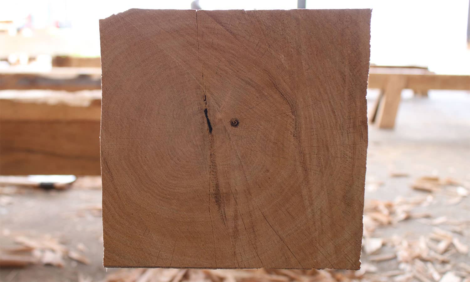 coeur-du-bois-centre-grume