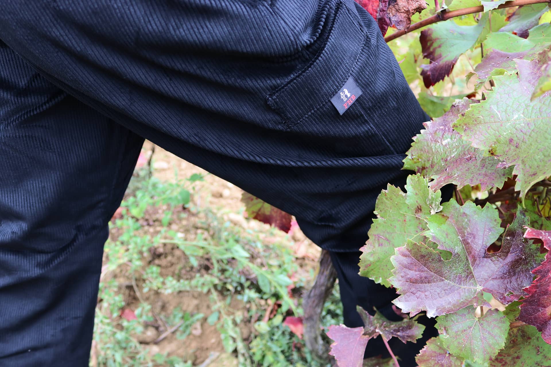 Pantalon de travail traditionnel de type largeot allemand en velours FHB
