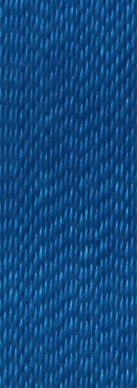 bleu-canard