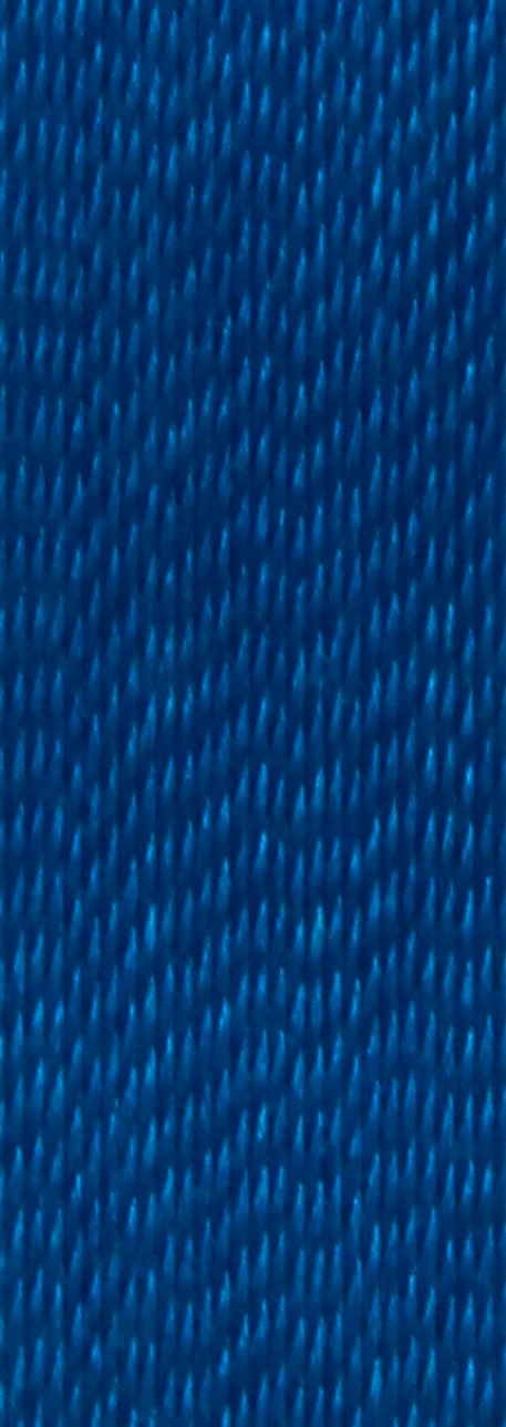 bleu-roi