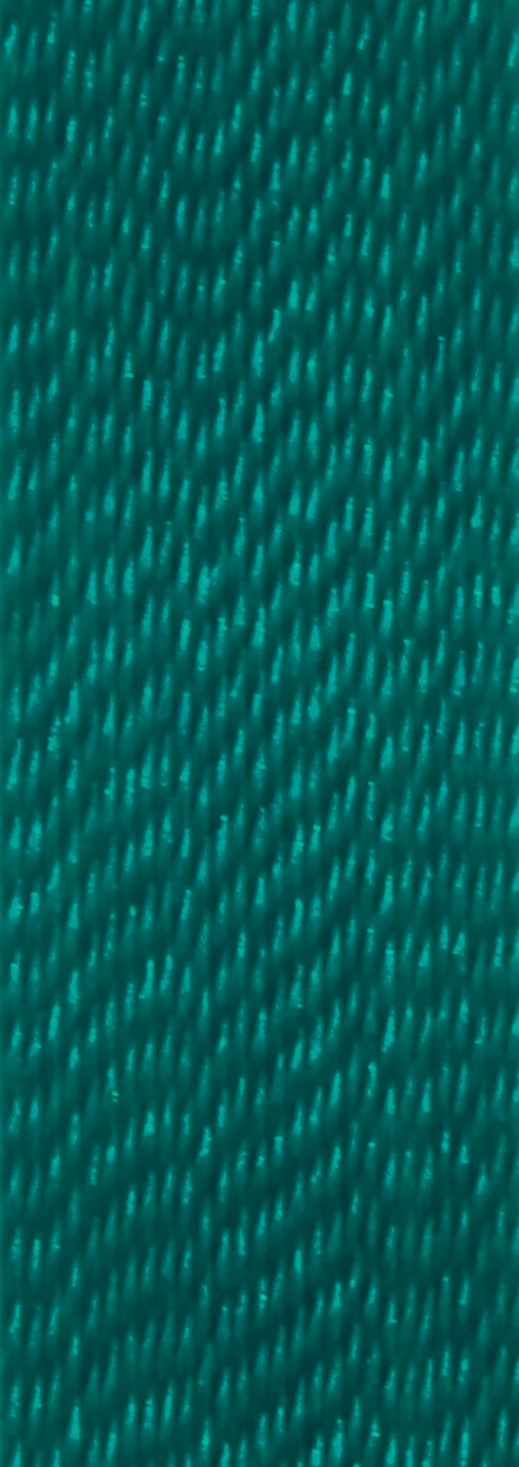 vert-canard